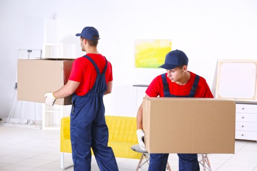 Man and van service loading boxes into a vehicle
